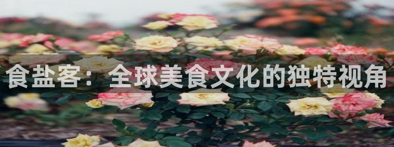 威九国际网站影视