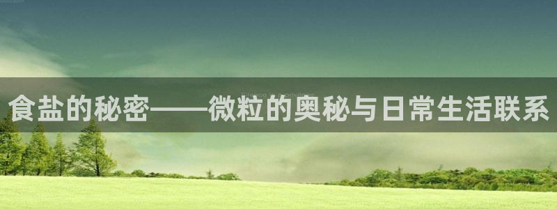 威九国际的女主