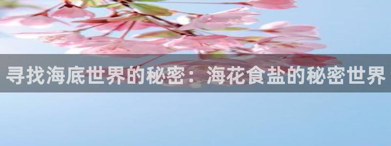 威九国际ppt官网