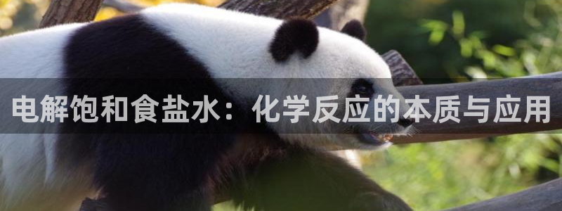 78mapp威九国际网