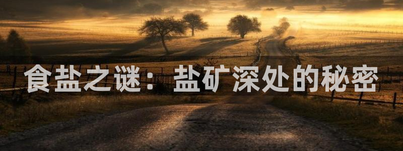 威九国际演员表