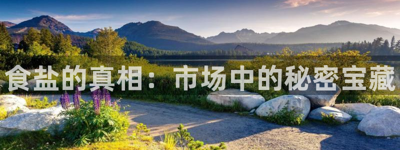 威九国际取款多到账：食盐的真相：市场中的秘密宝藏