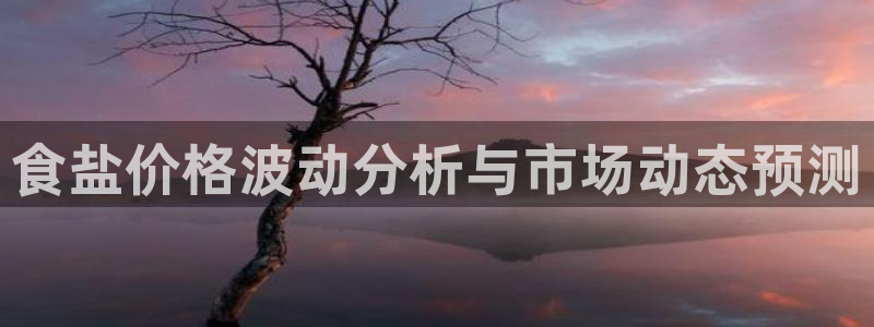 威九国际：食盐价格波动分析与市场动态预测